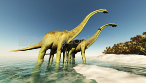 探秘恐龙岛：失落世界的惊险之旅与远古生物传奇